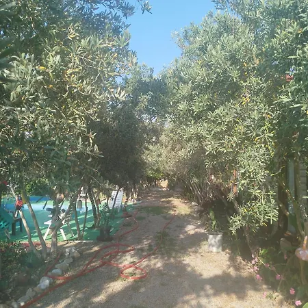 Gulseven دالامان